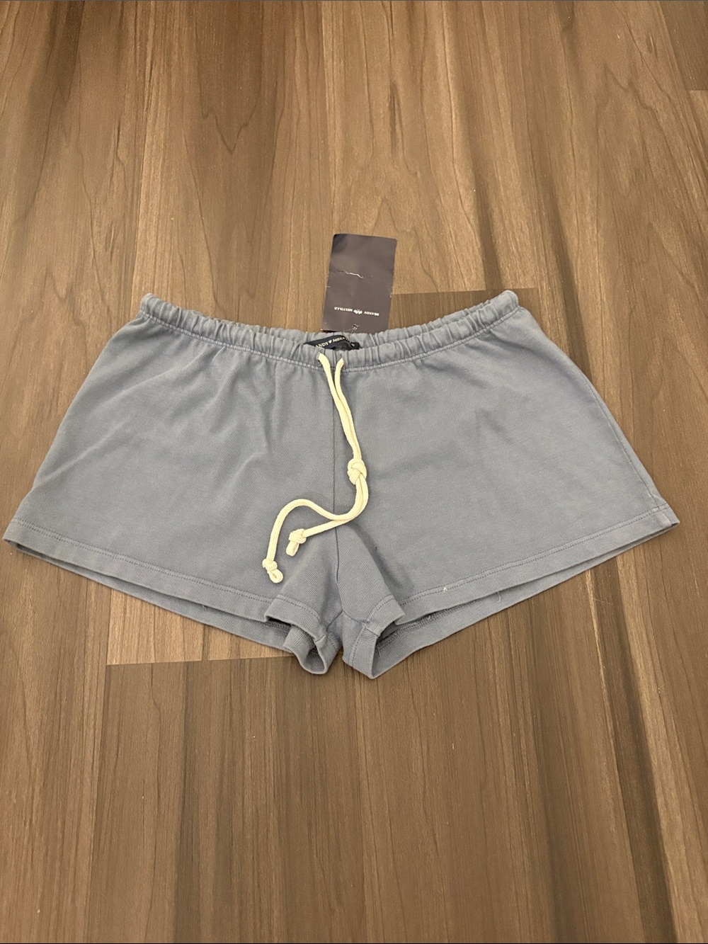 Brandy Melville Light Blue Drawstring Lounge Shorts